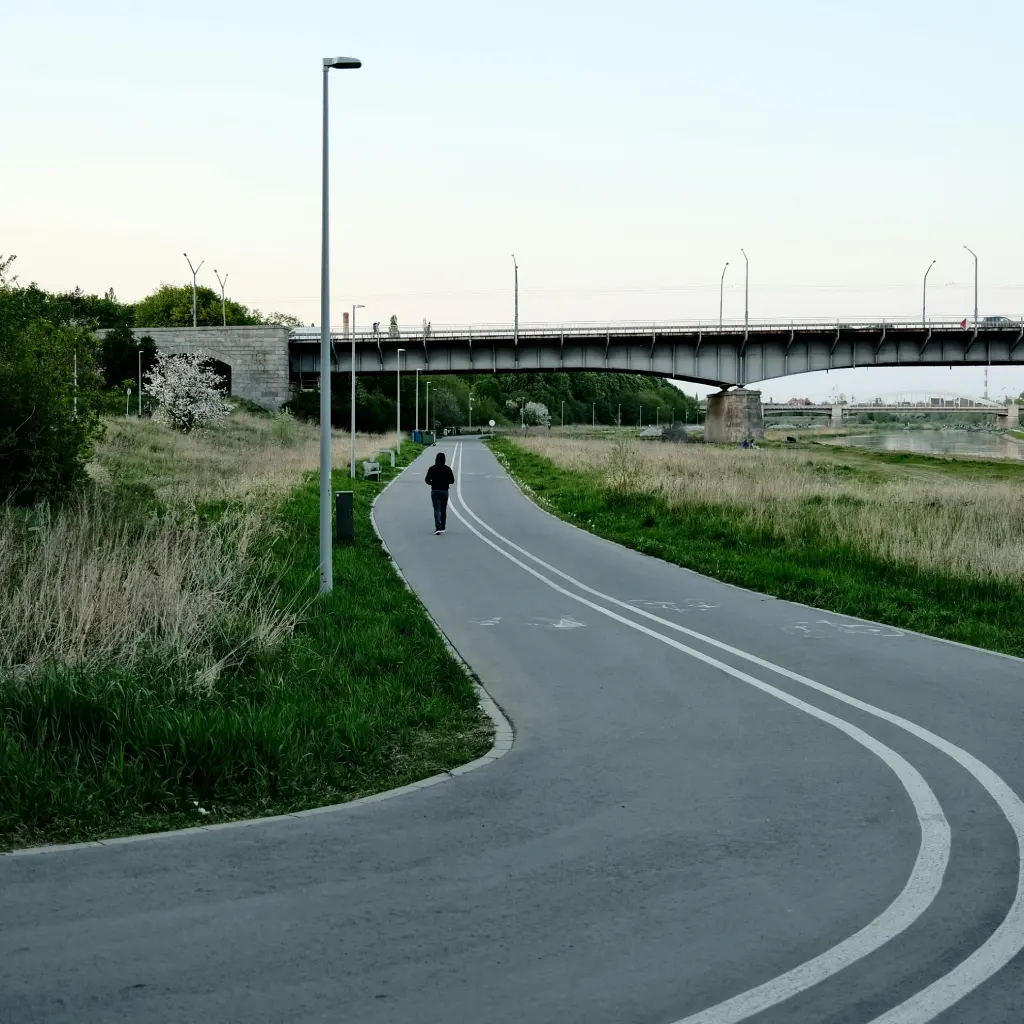 pexels-egorkomarov-12029146 - ścieżka